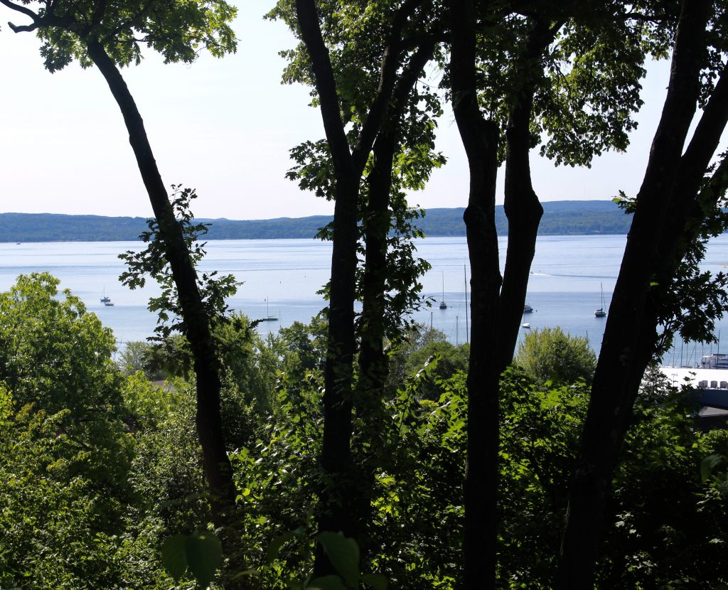 https://mynorth.com/2017/05/guide-to-michigans-iconic-tunnel-of-trees-on-m-119/