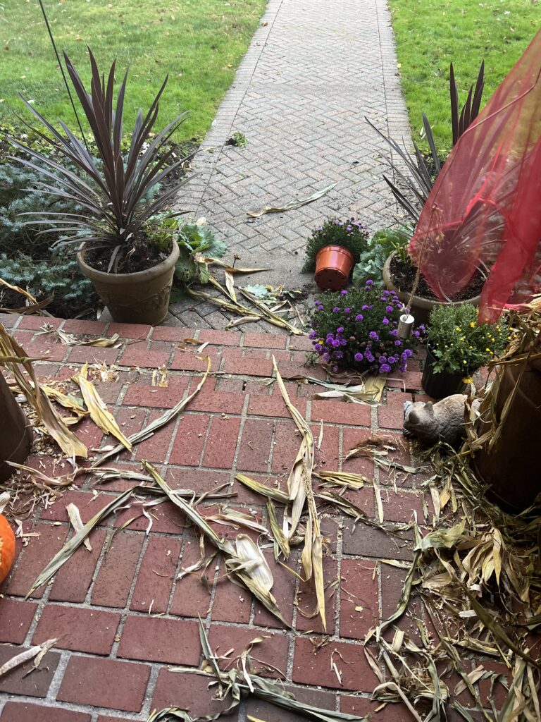 porch decor destroyed by squirrels